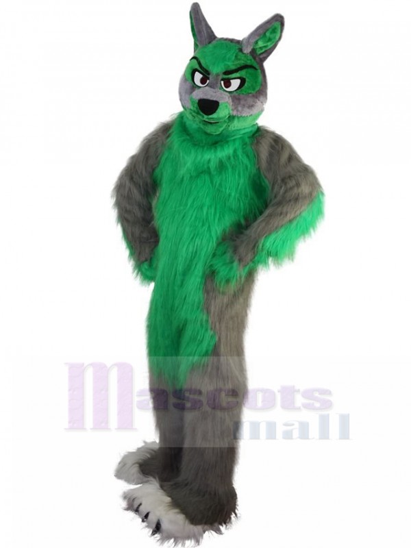 Loup costume de mascotte