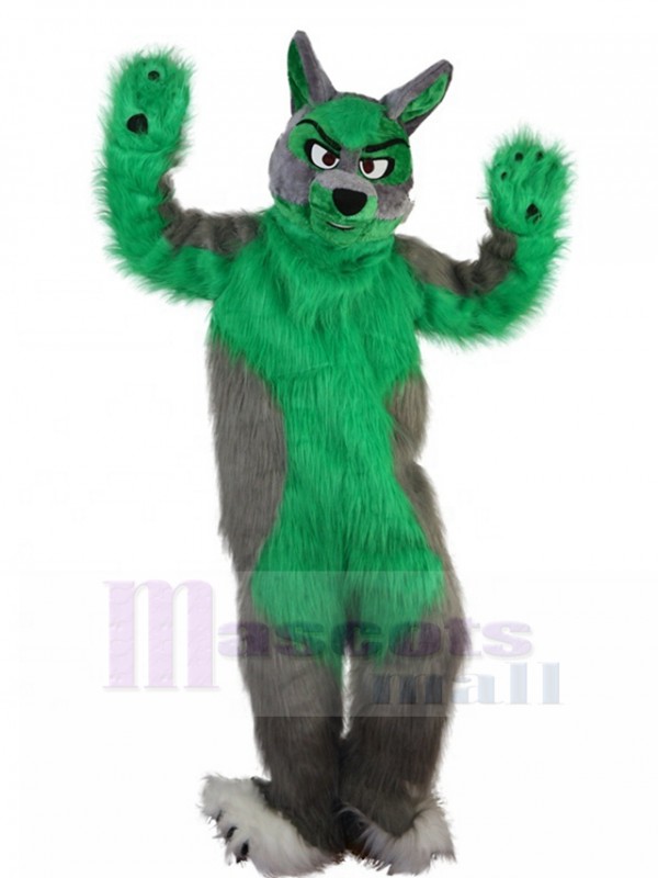 Loup costume de mascotte
