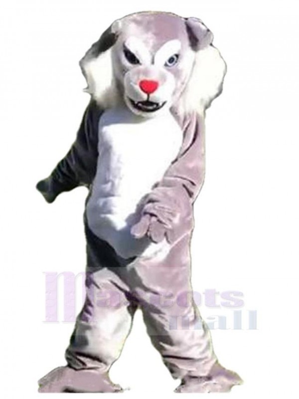 Loup costume de mascotte