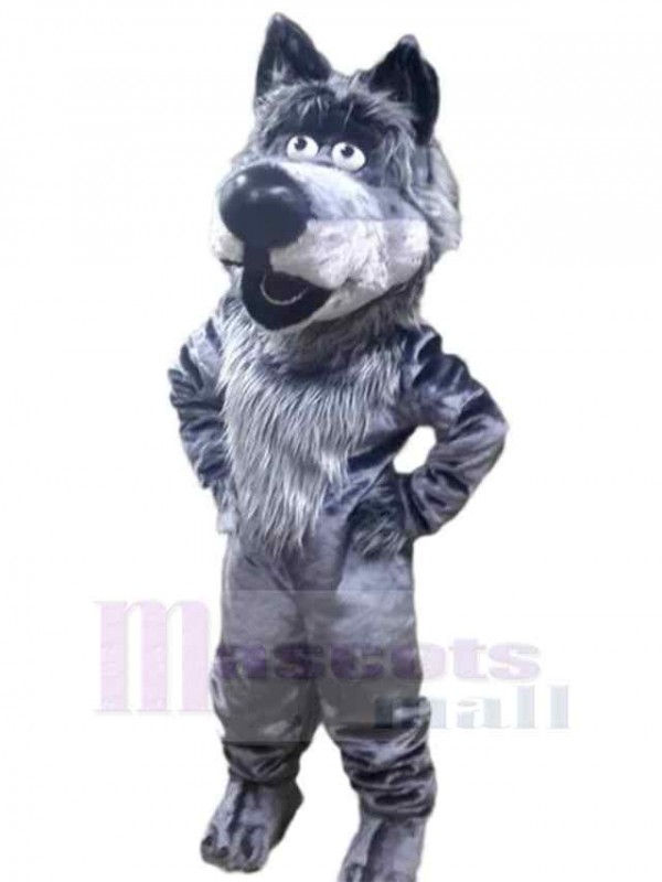 Loup costume de mascotte