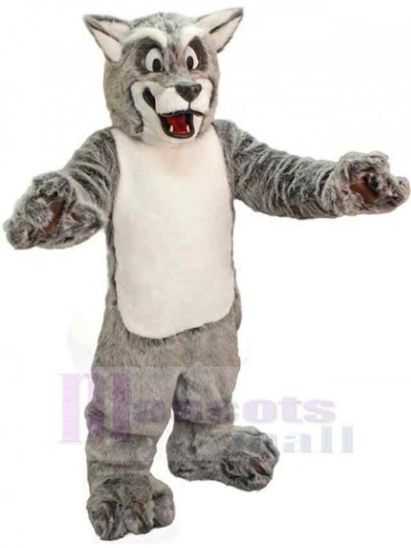 Loup costume de mascotte