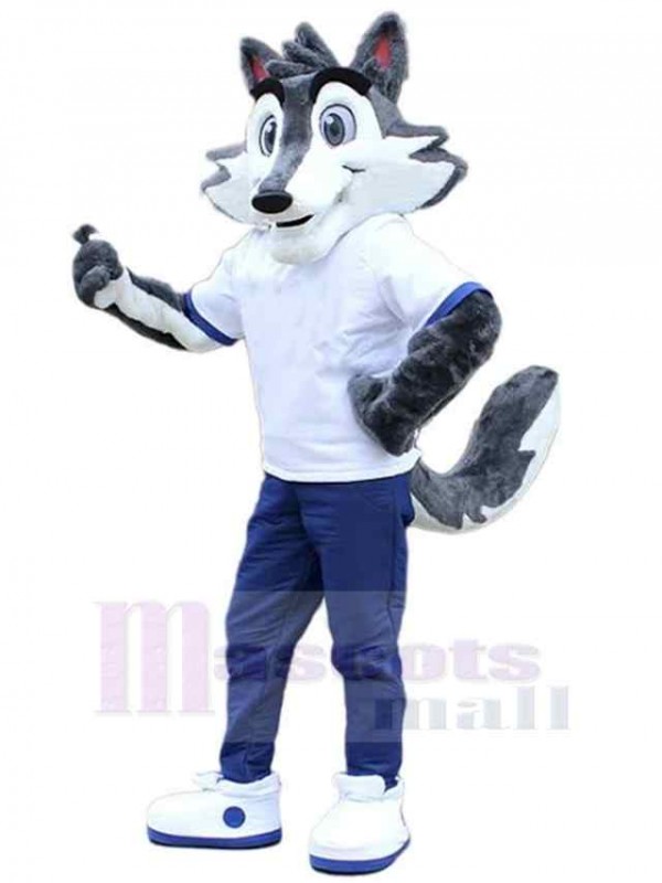 Loup costume de mascotte