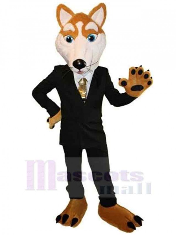 Loup costume de mascotte