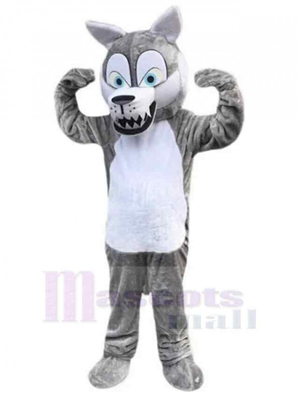 Loup costume de mascotte