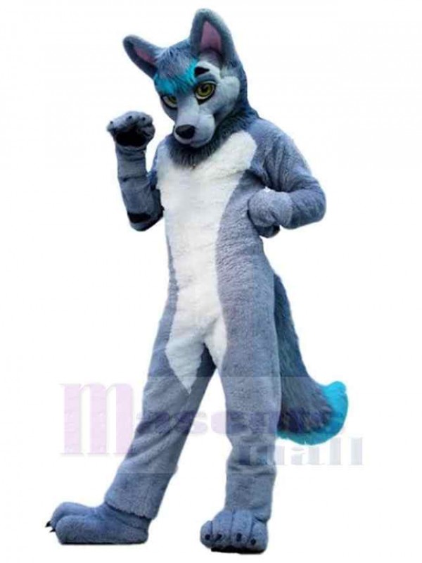 Loup costume de mascotte