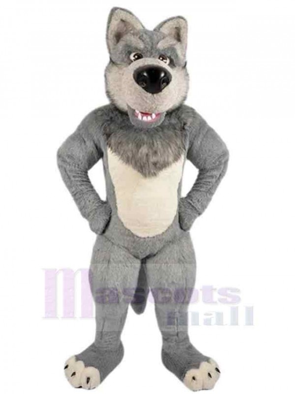 Loup costume de mascotte