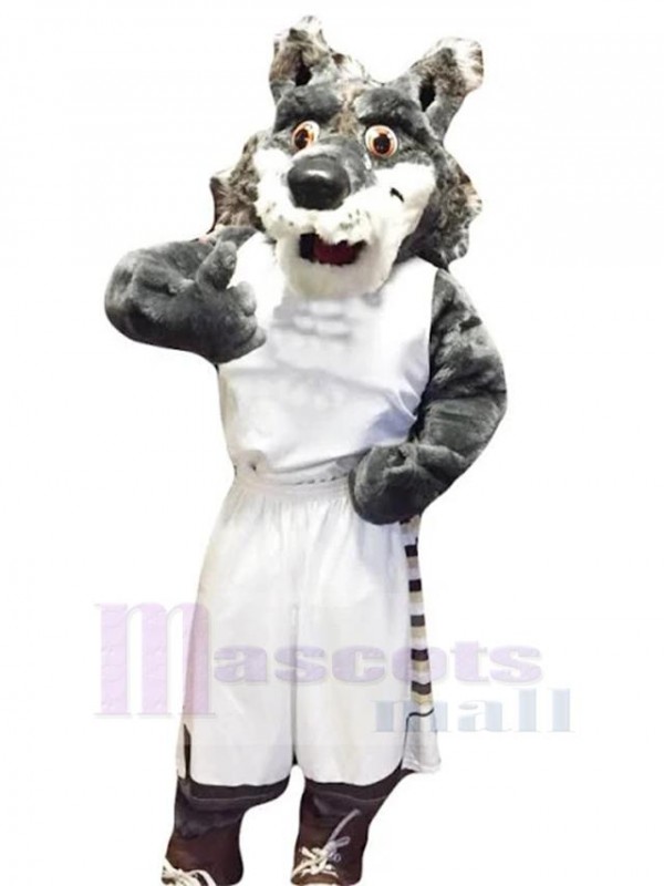 Loup costume de mascotte