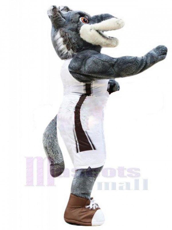 Loup costume de mascotte
