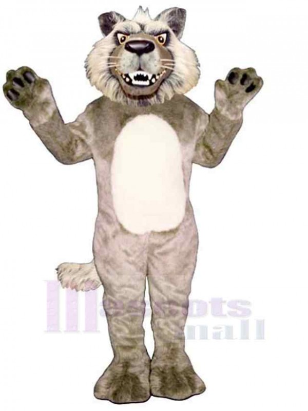 Loup costume de mascotte