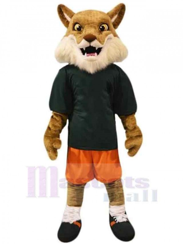 Loup costume de mascotte