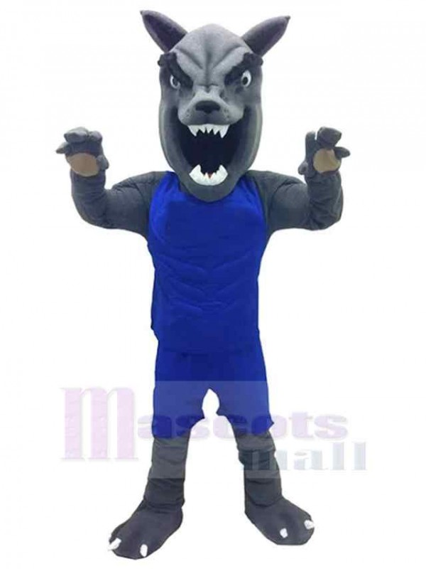 Loup costume de mascotte