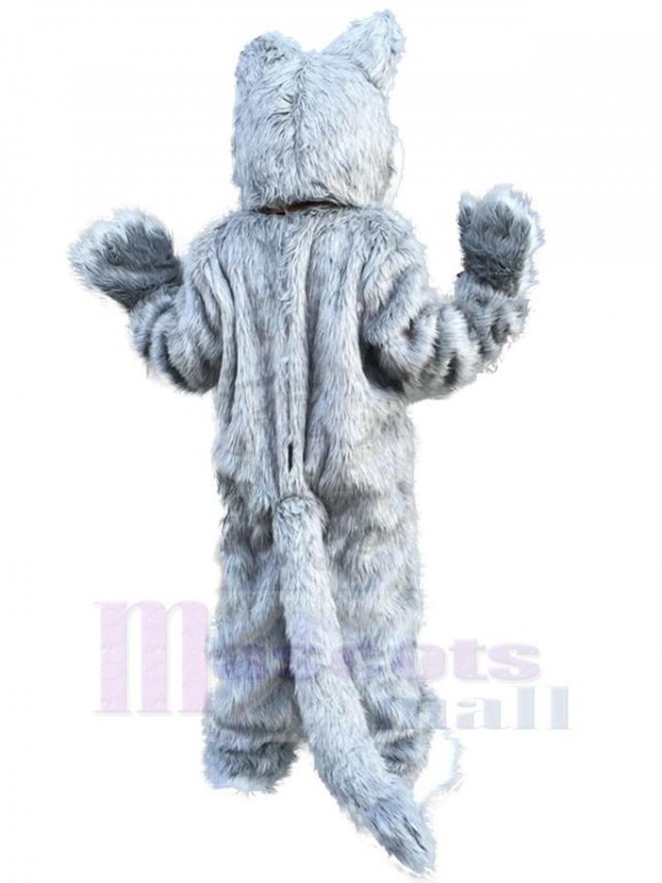 Loup costume de mascotte