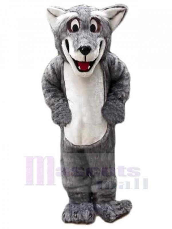 Loup costume de mascotte