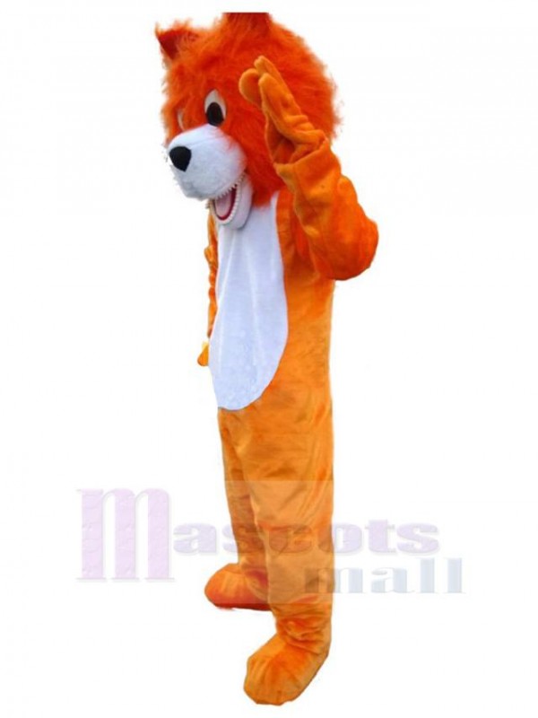 Loup costume de mascotte