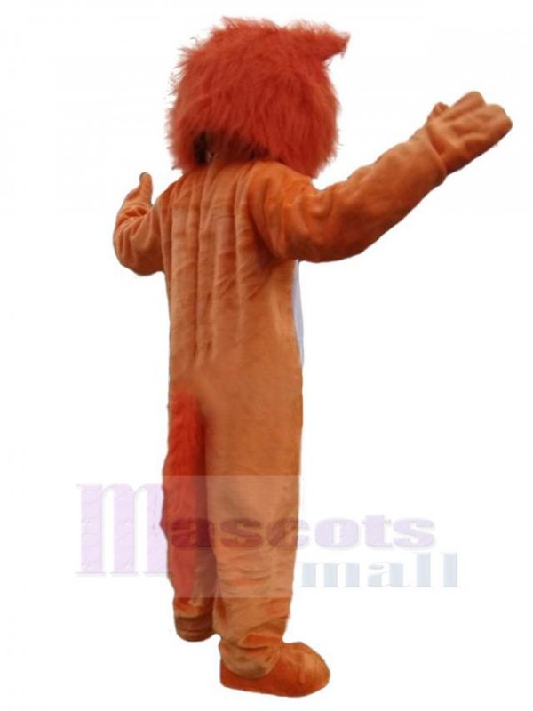 Loup costume de mascotte