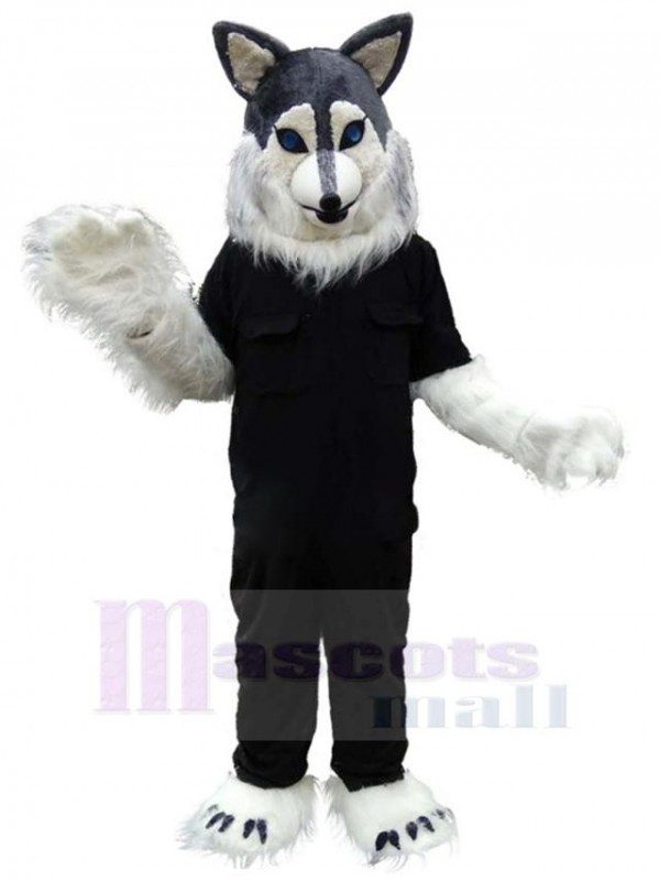 Loup costume de mascotte