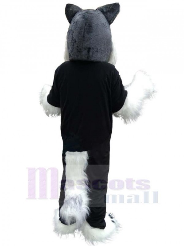 Loup costume de mascotte