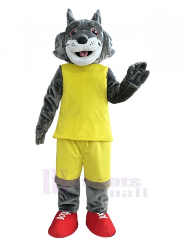Loup costume de mascotte