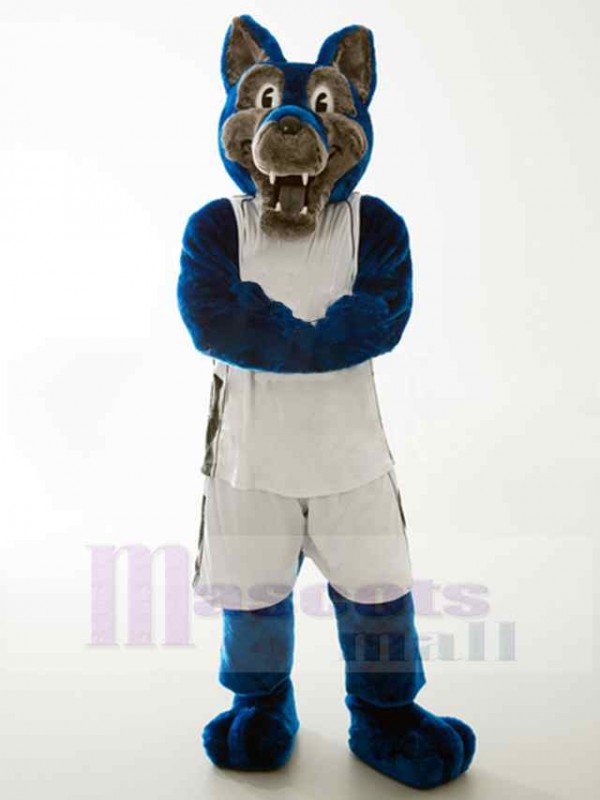 Loup costume de mascotte