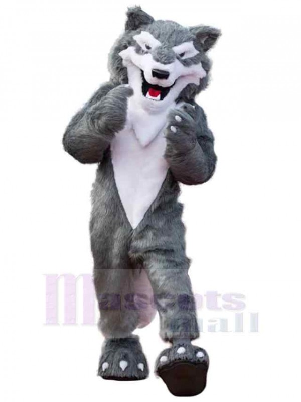 Loup costume de mascotte
