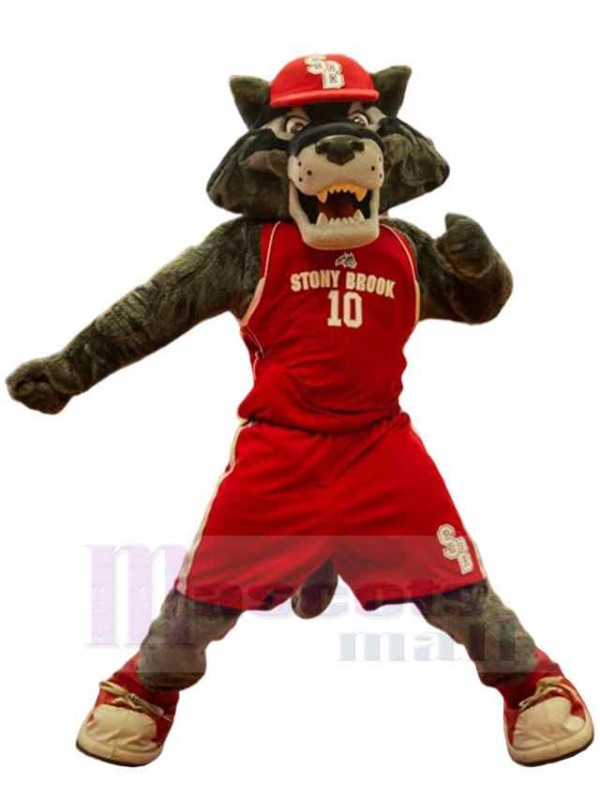 Loup costume de mascotte