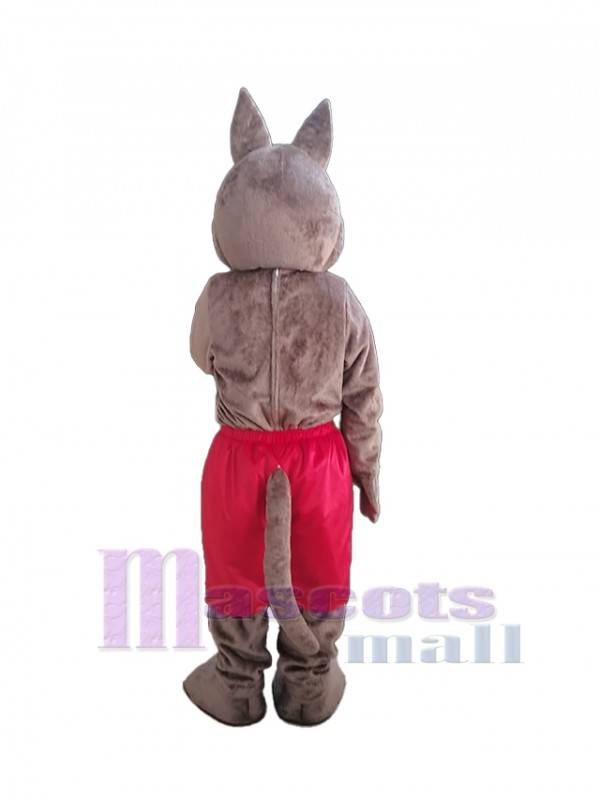 Coyote costume de mascotte