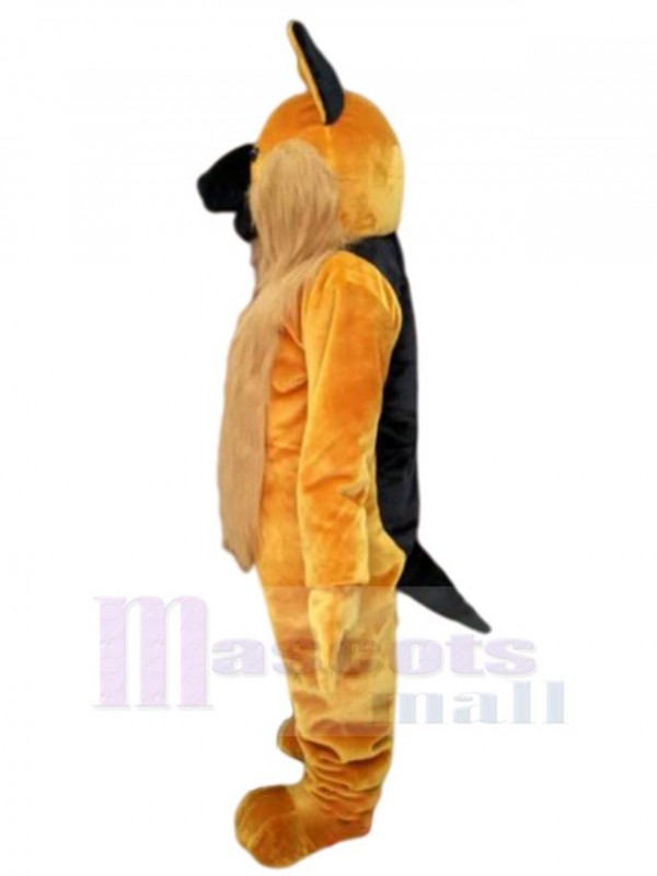 Loup costume de mascotte