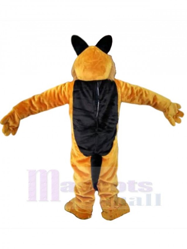 Loup costume de mascotte