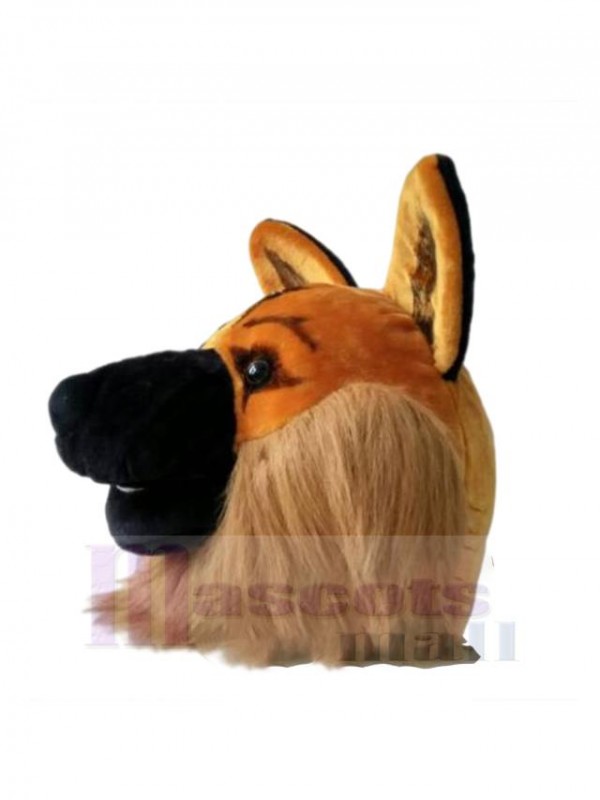 Loup costume de mascotte