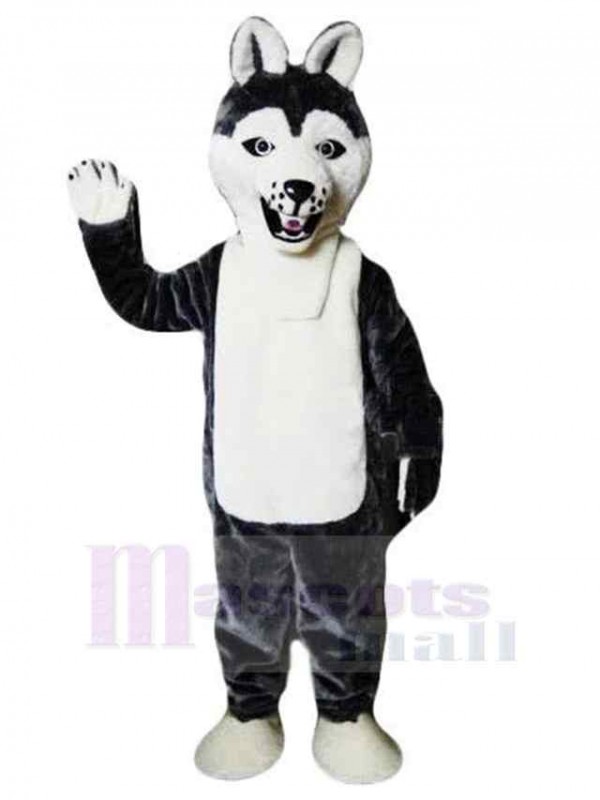 Loup costume de mascotte