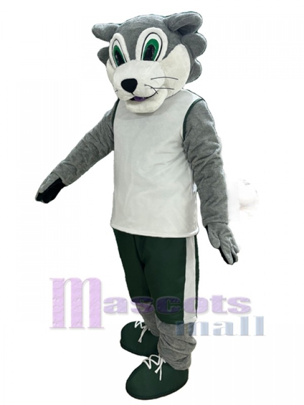 Loup costume de mascotte