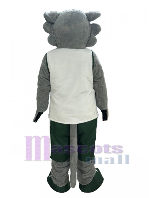 Loup costume de mascotte