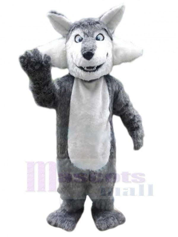 Loup costume de mascotte