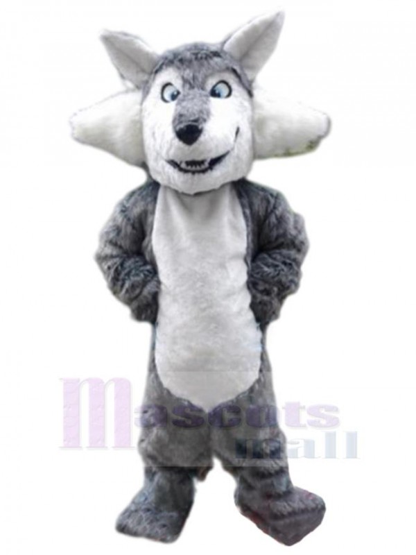 Loup costume de mascotte