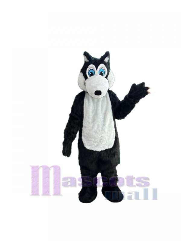 Loup costume de mascotte
