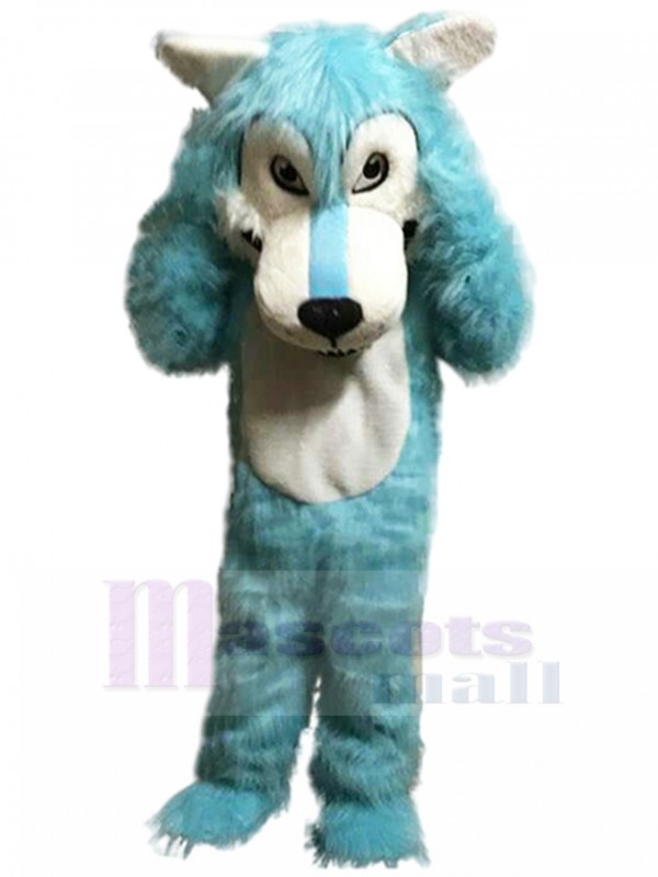 Loup costume de mascotte