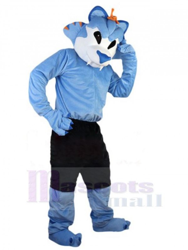 Loup costume de mascotte