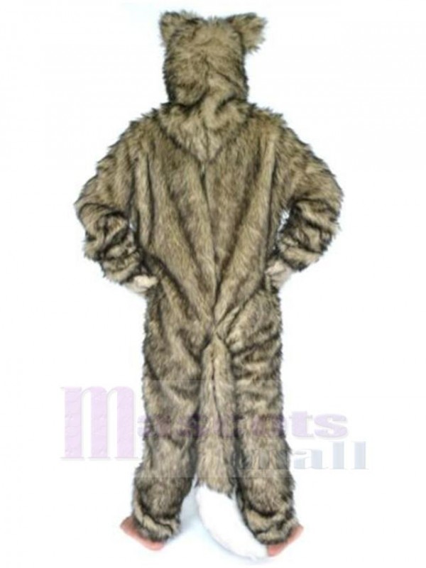 Loup costume de mascotte