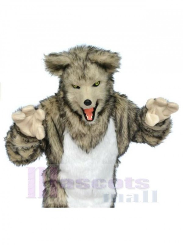 Loup costume de mascotte