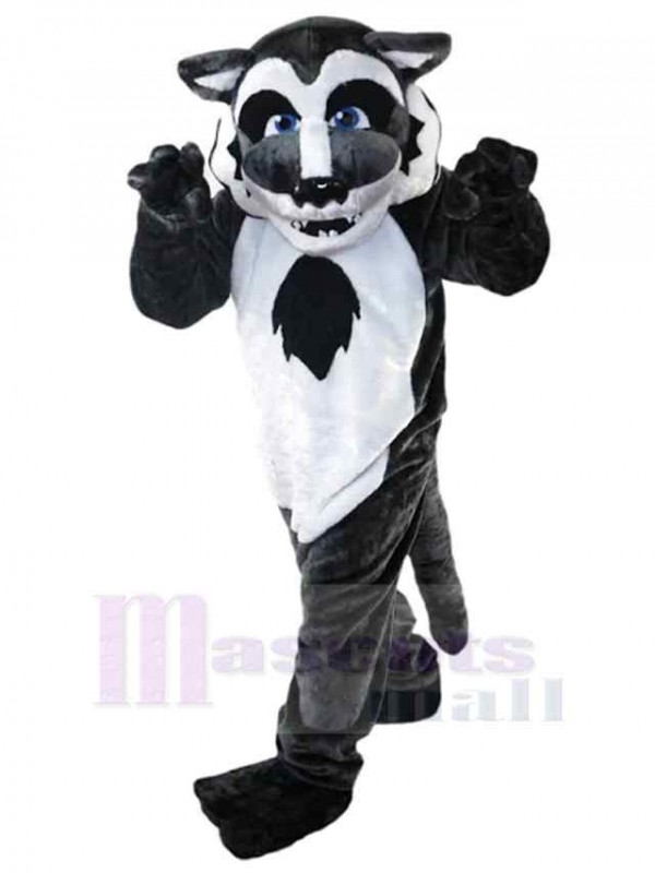 Loup costume de mascotte