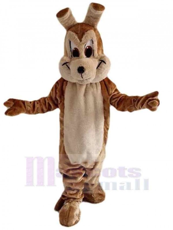 Loup costume de mascotte