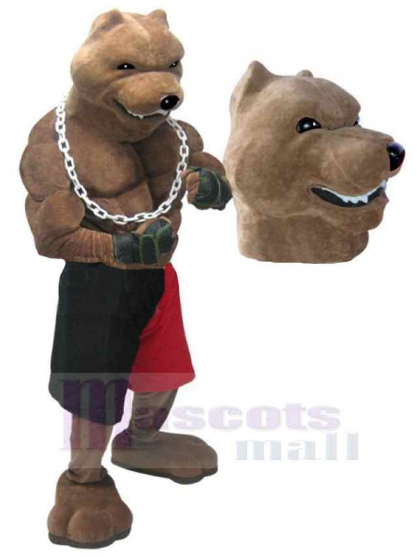 Loup costume de mascotte