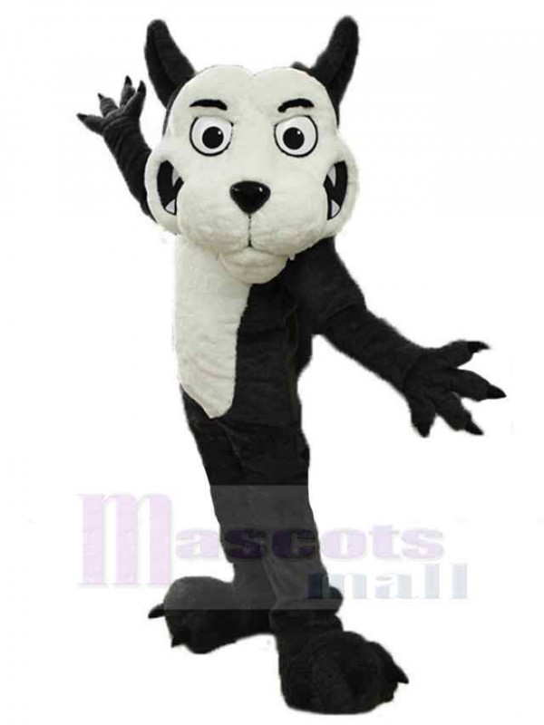 Loup costume de mascotte