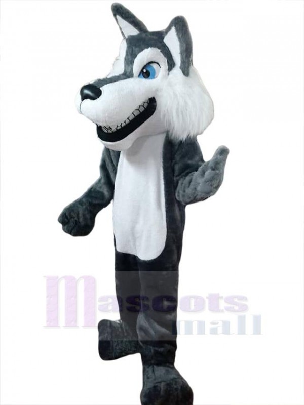 Loup costume de mascotte
