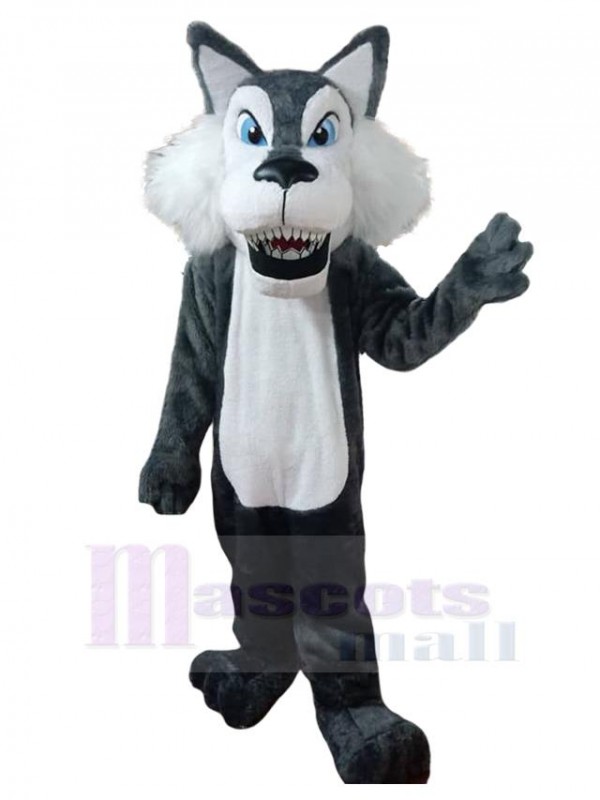 Loup costume de mascotte