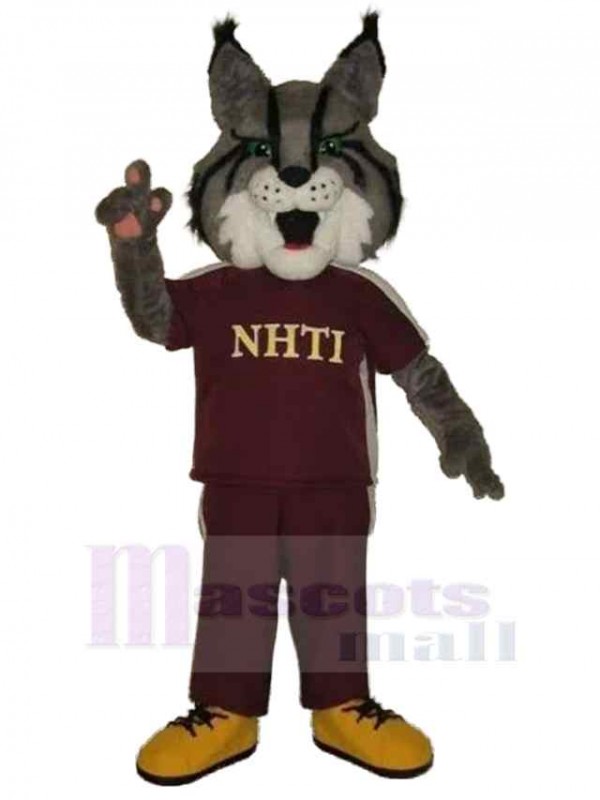 Loup costume de mascotte