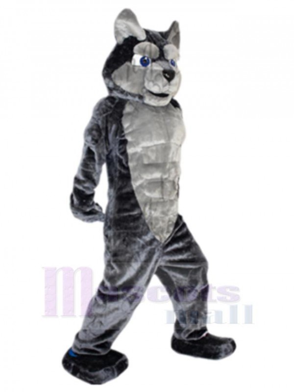 Loup costume de mascotte