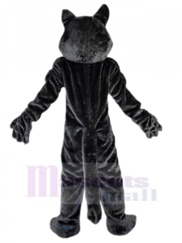 Loup costume de mascotte