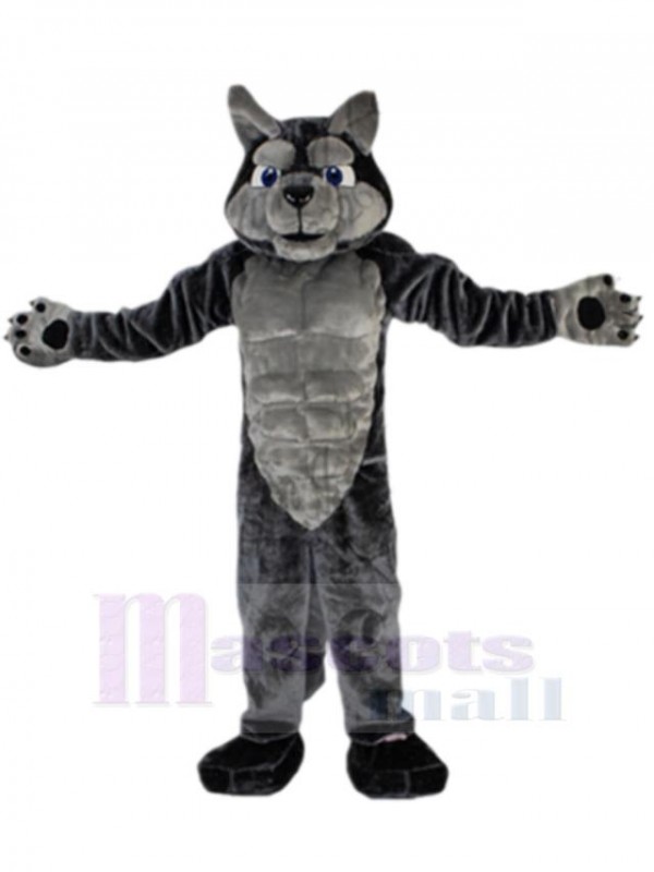 Loup costume de mascotte