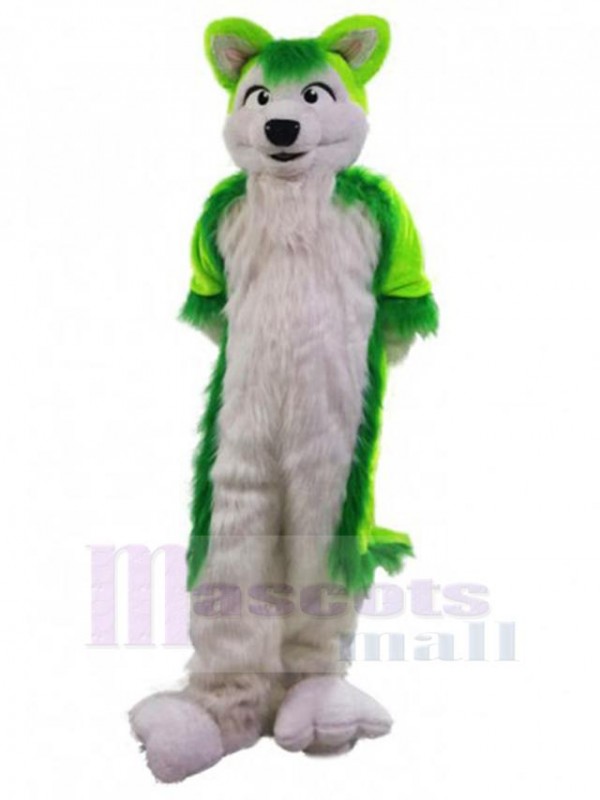 Loup costume de mascotte